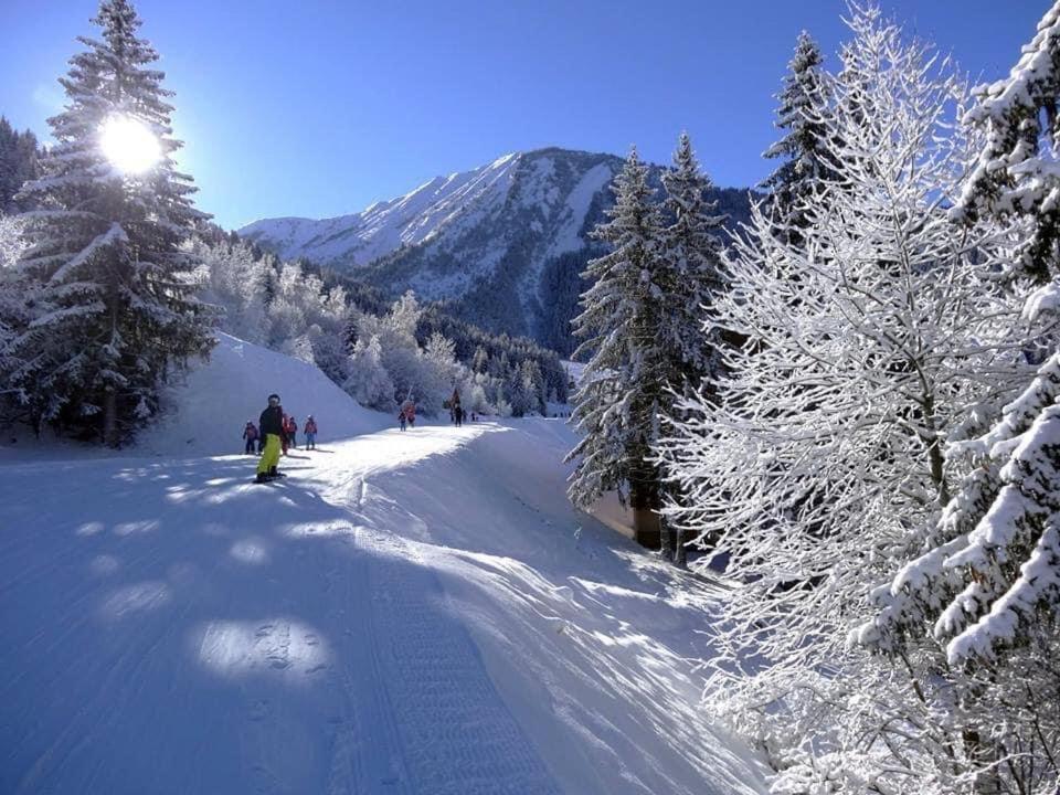 Le Grandcoeur Daire Le Bourg-dʼOisans Dış mekan fotoğraf